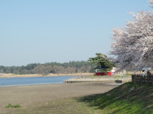 多々良沼の様子