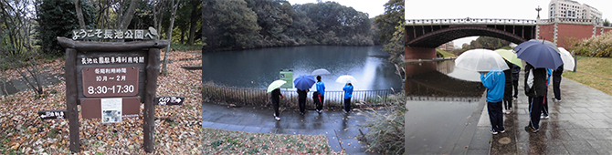 長池公園見学