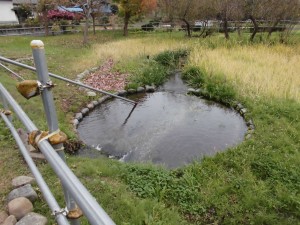 鶴見川源流見学