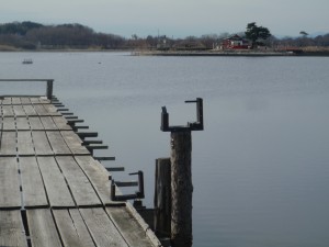 多々良沼の様子平成28年2月