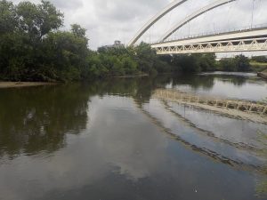 鶴見川 河川調査（横浜市緑区鴨居）