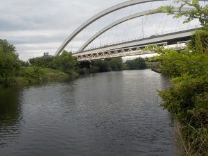 鶴見川の様子