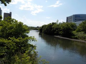 鶴見川の様子1