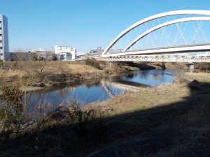 鶴見川の様子