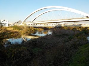 鶴見川の様子