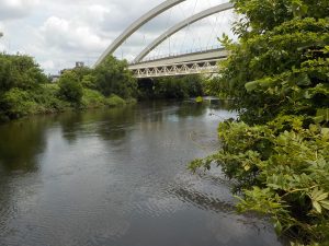 鶴見川の様子