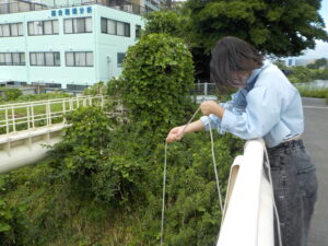 環境分析インターンシップ