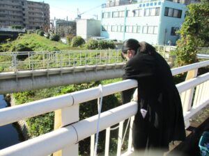 環境分析インターンシップ
