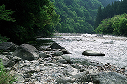 環境・河川水・ノニルフェノールイメージ写真